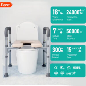 Elderly Toilet Safety Rails Simple Design