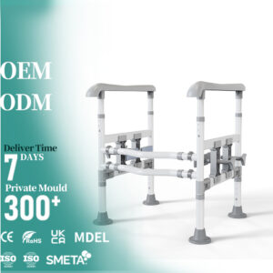 Elderly Mobility Tool