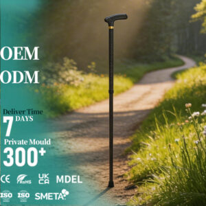 Elegant Carbon Fiber Cane